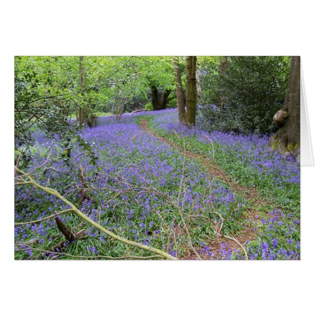 Bosques de Bluebell (Anverso (Horizontal))