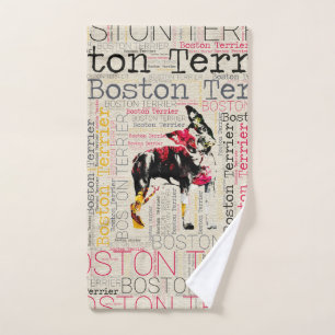 Boston adorable Terrier