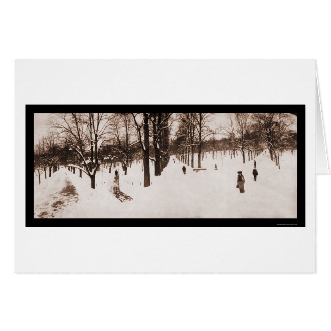 Boston Common, MAMÁES Foto de 1904 (Anverso (Horizontal))