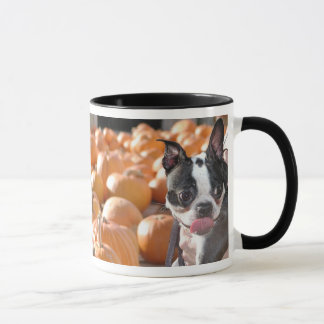 Boston en taza del remiendo de la calabaza