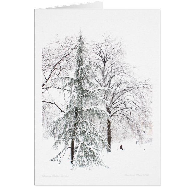 Boston Public Garden (Frente)