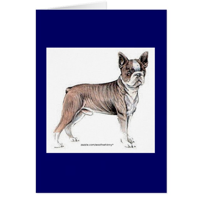 Boston Terrier (Frente)