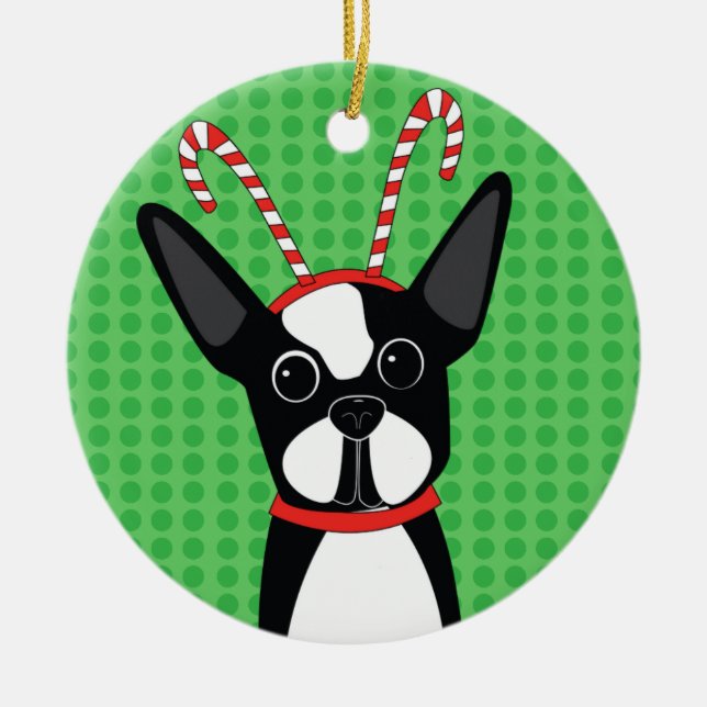 Boston Terrier con el ornamento de la venda del (Frente)