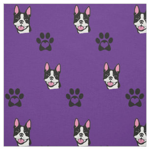 Boston Terrier con la tela de algodón de las pata