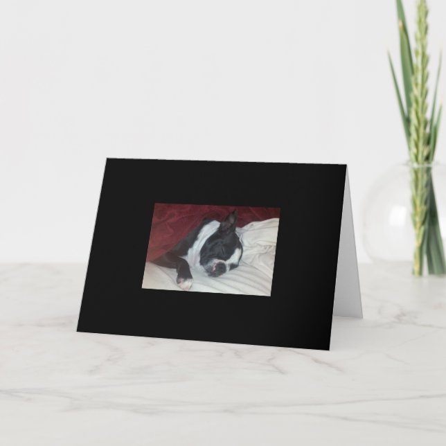 Boston Terrier consigue la tarjeta bien (Anverso)