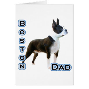 Boston Terrier Dad 4