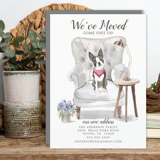 Boston Terrier Dog hemos movido la Invitación (Subido por el creador)