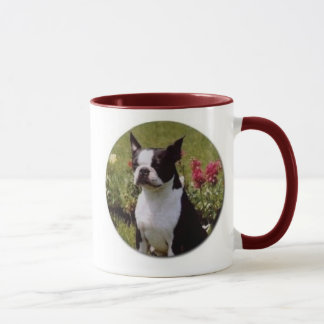 Boston Terrier en taza del jardín