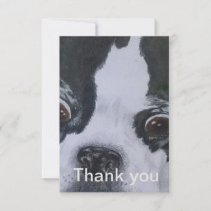 Boston Terrier le agradece las tarjetas