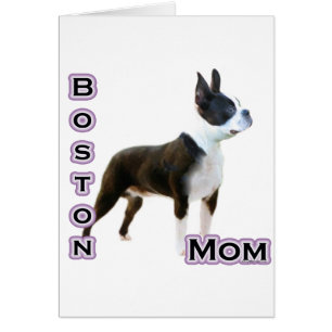 Boston Terrier Mom 4