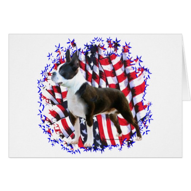 Boston Terrier Patriot (Anverso (Horizontal))