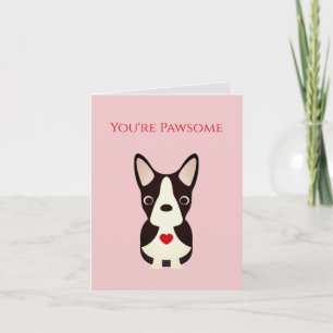 Boston Terrier, perro Valentine, El día de San Val