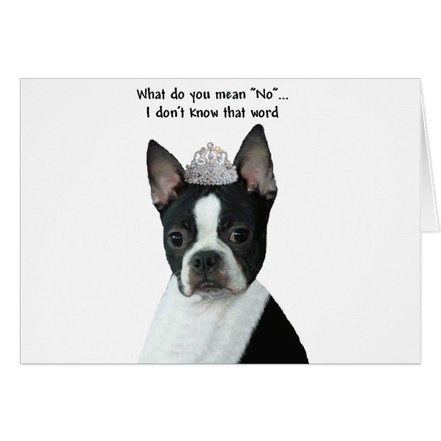 Boston Terrier: ¿Qué Quieres Decir "No"? (Anverso (Horizontal))