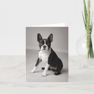 Boston Terrier que sienta la tarjeta de nota