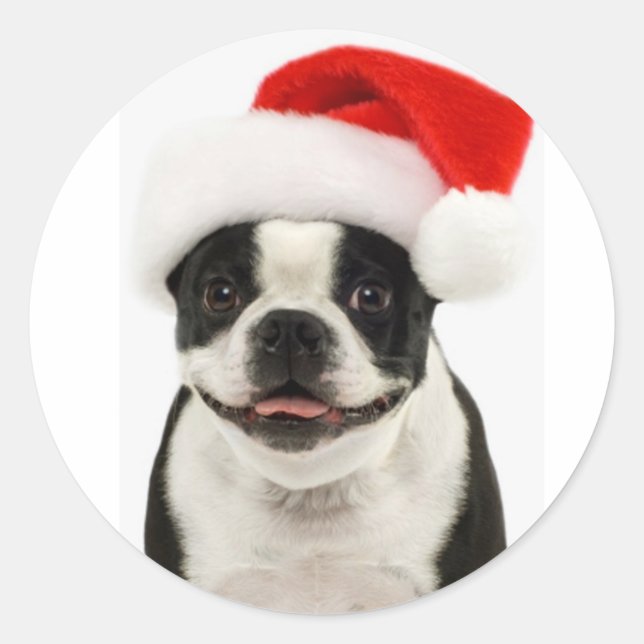 Boston Terrier Santa Pegatina (Anverso)