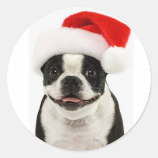 Boston Terrier Santa Pegatina