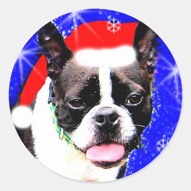 Boston Terrier Santa Pegatina (Anverso)