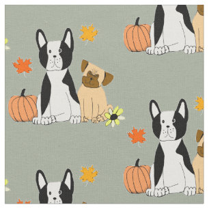Boston Terrier y tela del modelo de la caída del