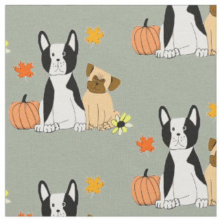 Boston Terrier y tela del modelo de la caída del