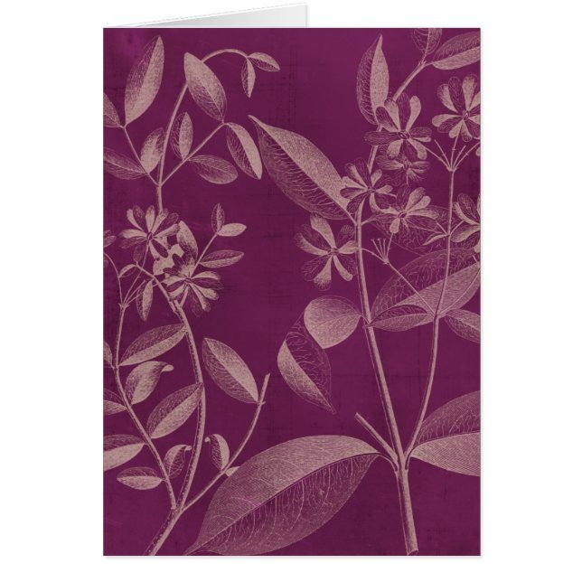 Botánica moderna III (Frente)