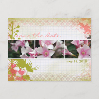 Botánicas del Desierto Tarjeta Postal - floral grá