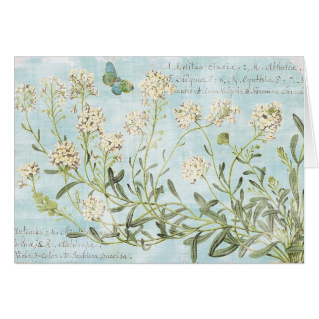 Botánico azul (Anverso (Horizontal))