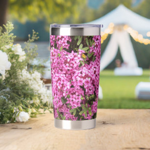 Botella Aislada Bonito Rosa Daphne Floral