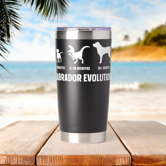 Botella Aislada Evolución de Labrador Diseño para dueño de Labrado (Playa (girada))