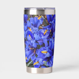 Botella Aislada Floral de irisis reticuladas púrpura