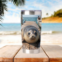 Foca Adorable Acostada en el Muelle de Embarque de