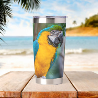 Botella Aislada Guacamayo Azul y Amarillo