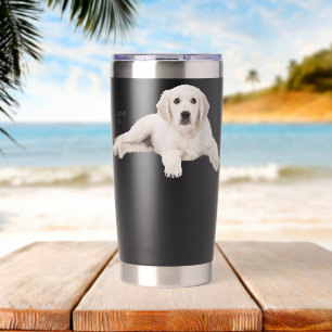 Botella Aislada Labrador blanco recuperador de amor amarillo labor