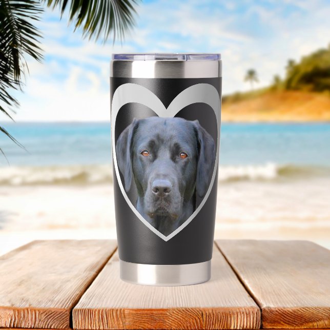 Botella Aislada Labrador Labrador Dog Labrador (Playa (girada))