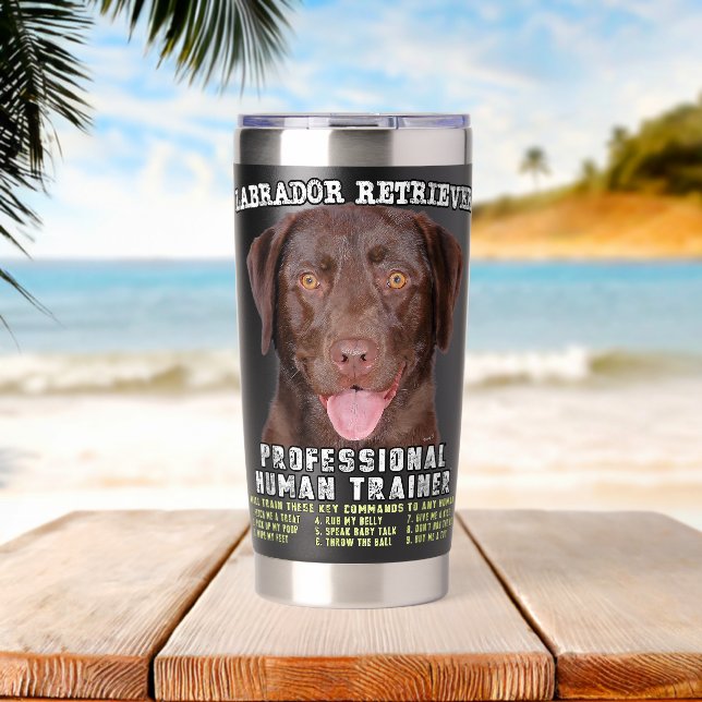 Botella Aislada Labrador Retriever Chocolate Lab Profesional Huma (Playa (girada))