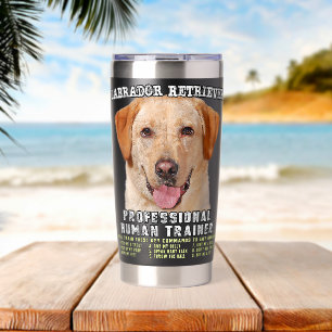 Botella Aislada Labrador Retriever Lab Amarillo Profesional Humano
