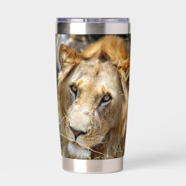 Botella Aislada León