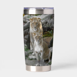 Botella Aislada León