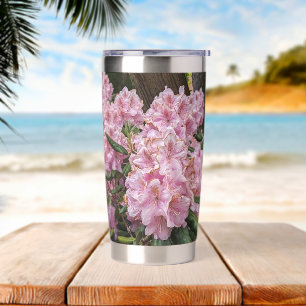 Botella Aislada Rhododendro rosa lúcido florece