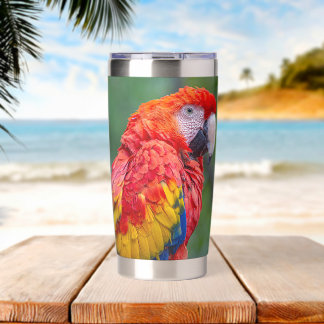 Botella Aislada Scarlet Macaw