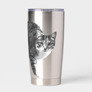 Botella Aislada Tabby Glow por Ventana de Invierno