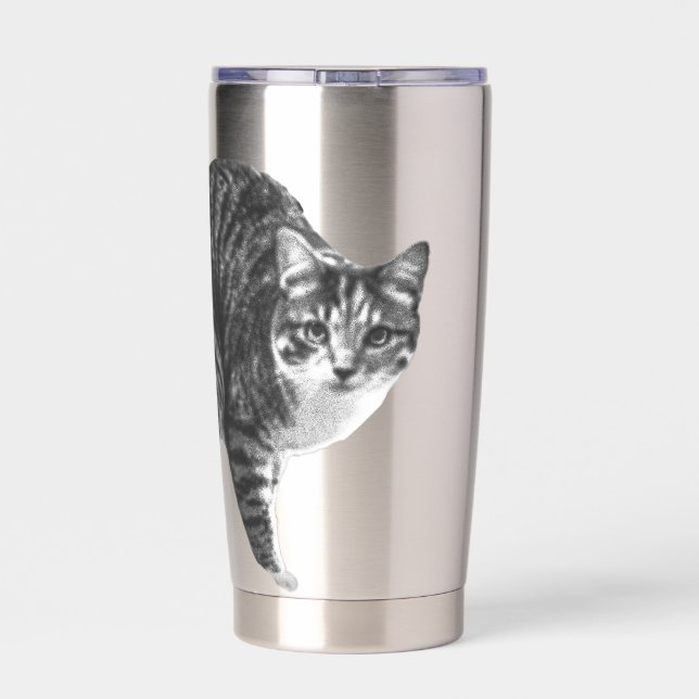 Botella Aislada Tabby Glow por Ventana de Invierno (Detrás)