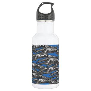 BOTELLA DE AGUA  