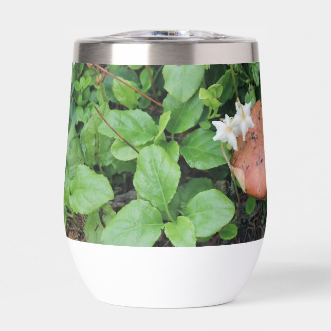 Botella de agua (Frente)