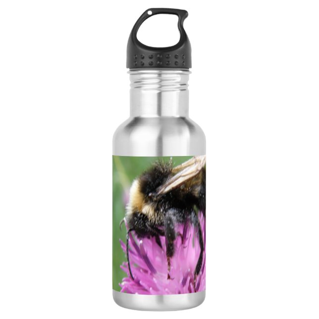 Botella De Agua Abeja de púas en un cardo (Anverso)