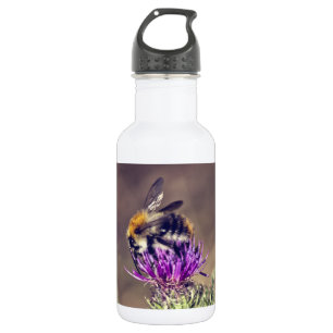 Botella De Agua Abeja linda en un cardo