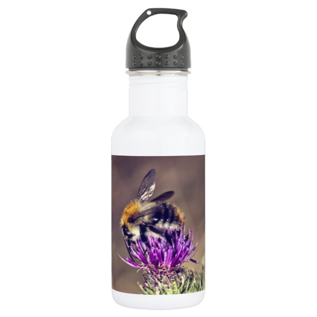 Botella De Agua Abeja linda en un cardo (Anverso)
