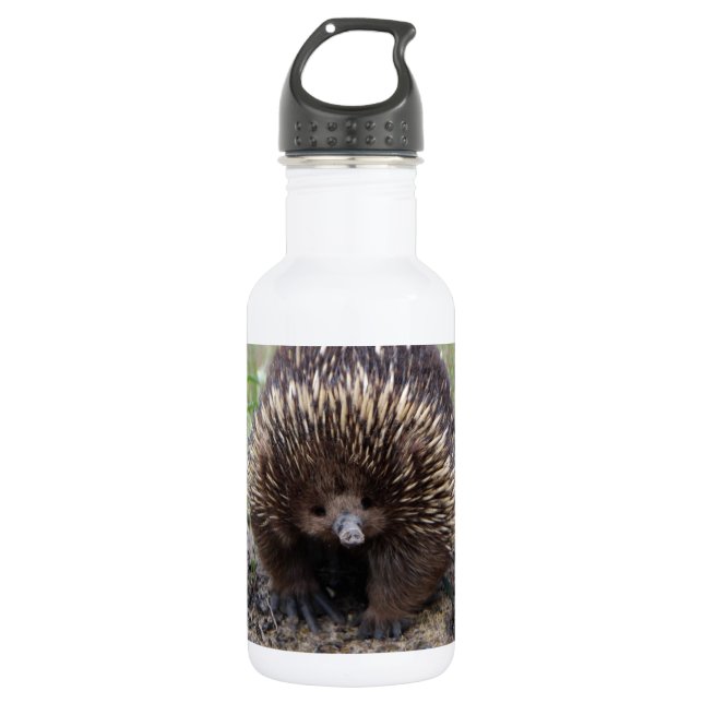 Botella De Agua Adorable Australian Echidna (Anverso)