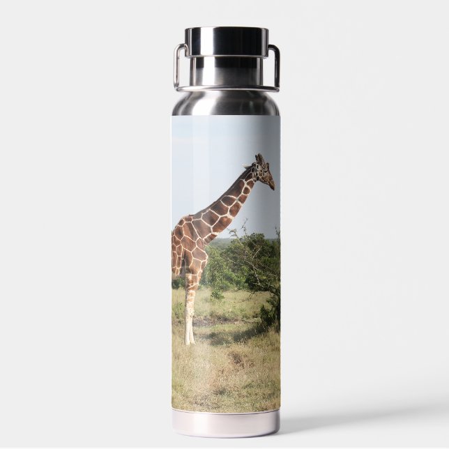 Botella de agua aislada de 22 oz. de jirafas (Atrás)
