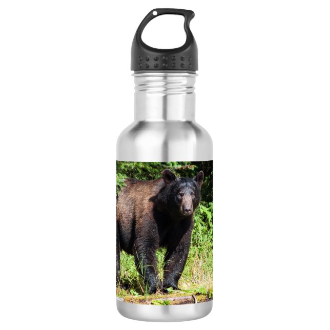 Botella De Agua Alfa Black Bear (Anverso)