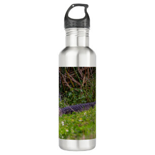 Botella De Agua Alligator en Viera Wetlands Florida Photo